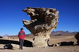 BOLIVIA 2 - Albero di Pietra - 1